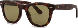 Tortoiseshell sunglasses